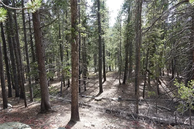 a view of mountain view with lots of trees