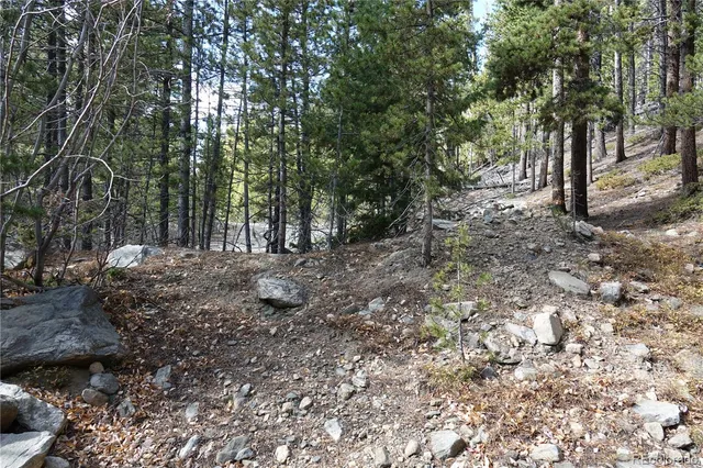 a view of outdoor space with lots of trees