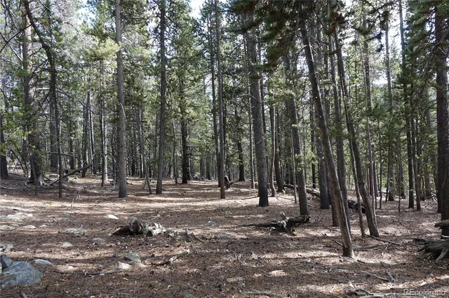a view of outdoor space with trees