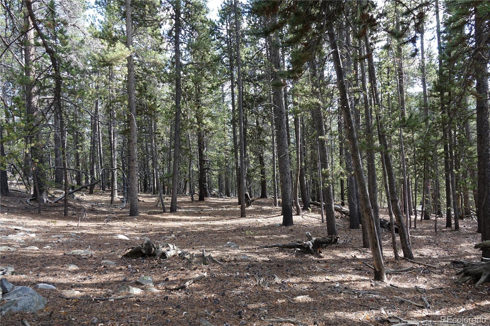 0 Loch Lomond Road Idaho Springs, CO 80452 - Photo 2 of 33 a view of outdoor space with trees