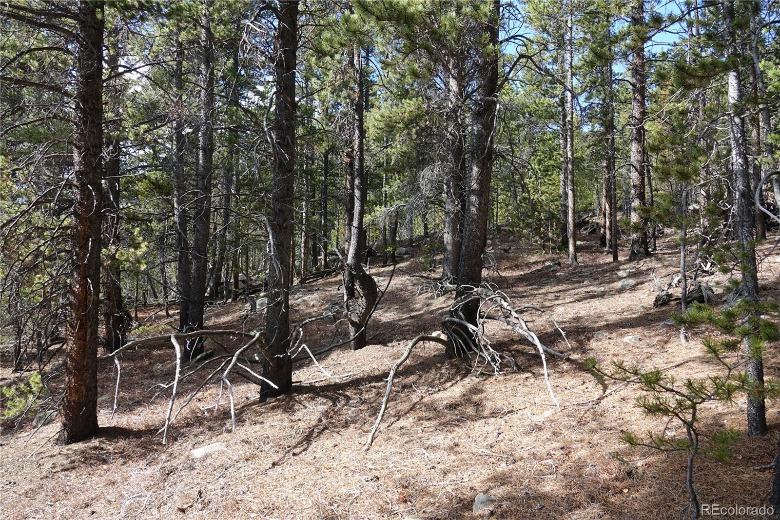 0 Loch Lomond Road Idaho Springs, CO 80452 - Photo 21 of 31