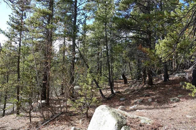 a view of outdoor space with lots of trees