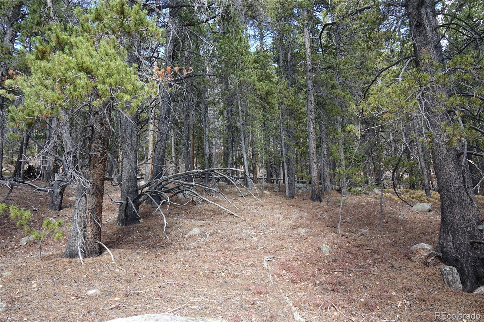 0 Loch Lomond Road Idaho Springs, CO 80452 - Photo 22 of 31