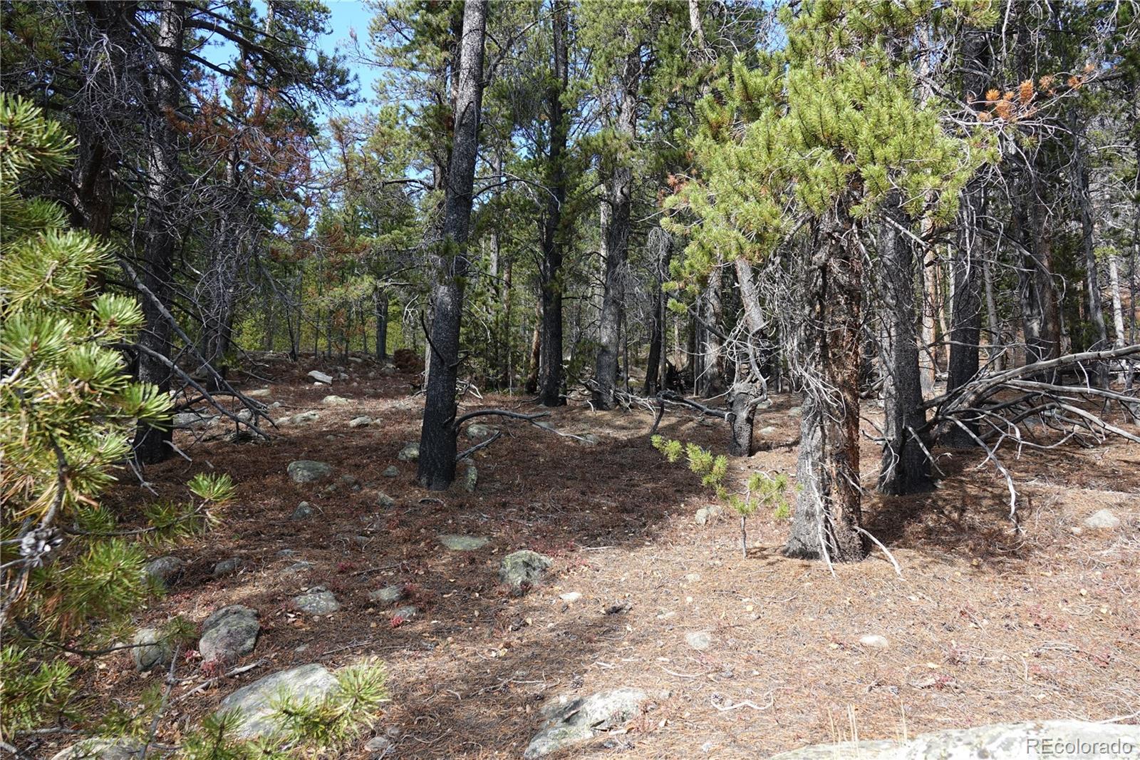 0 Loch Lomond Road Idaho Springs, CO 80452 - Photo 24 of 31