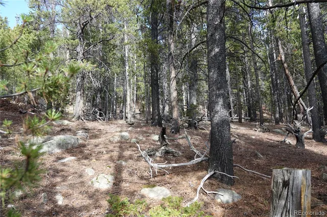 a view of covered with trees