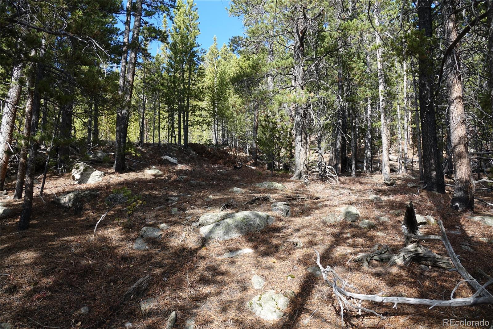 0 Loch Lomond Road Idaho Springs, CO 80452 - Photo 26 of 33 a view of outdoor space with trees