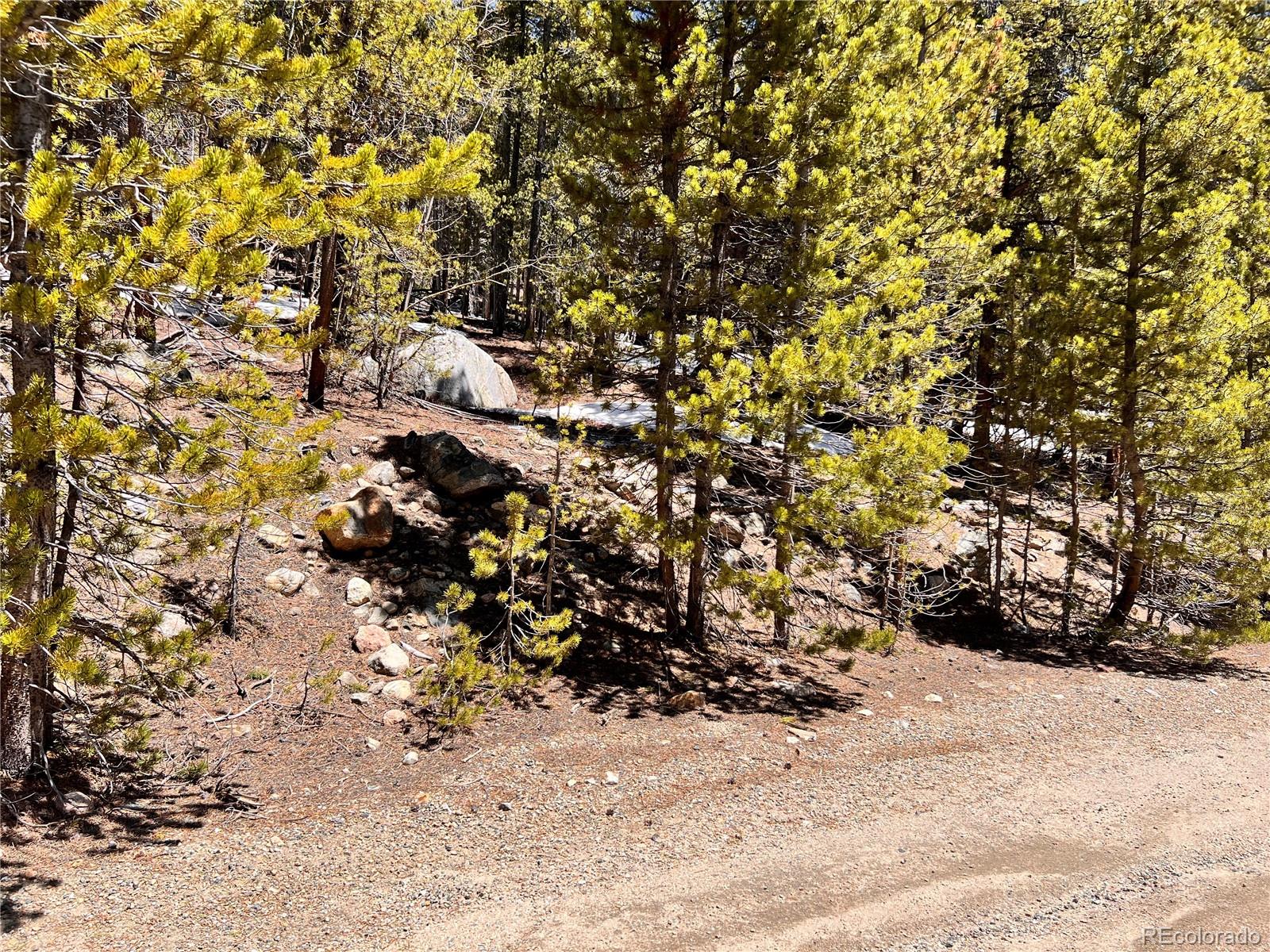 0 Loch Lomond Road Idaho Springs, CO 80452 - Photo 27 of 33 a view of covered with trees