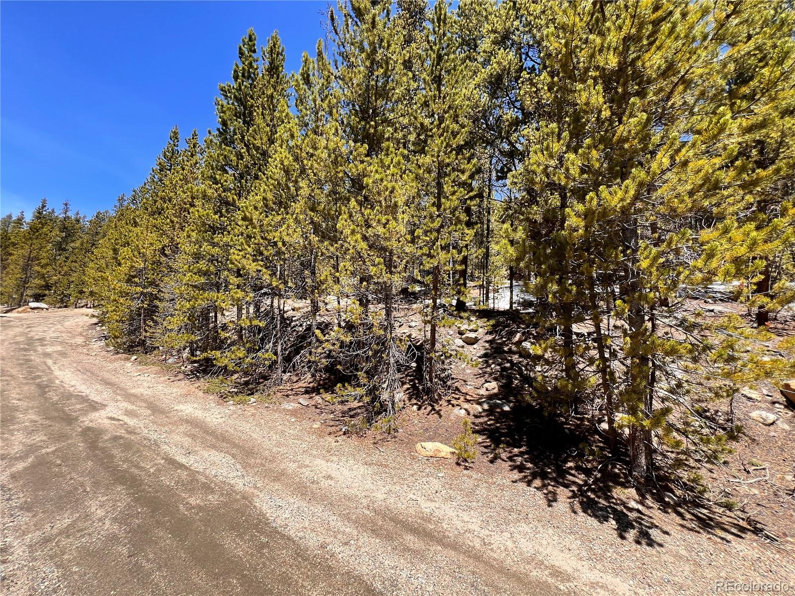 0 Loch Lomond Road Idaho Springs, CO 80452 - Photo 28 of 33 a view of a yard with a tree