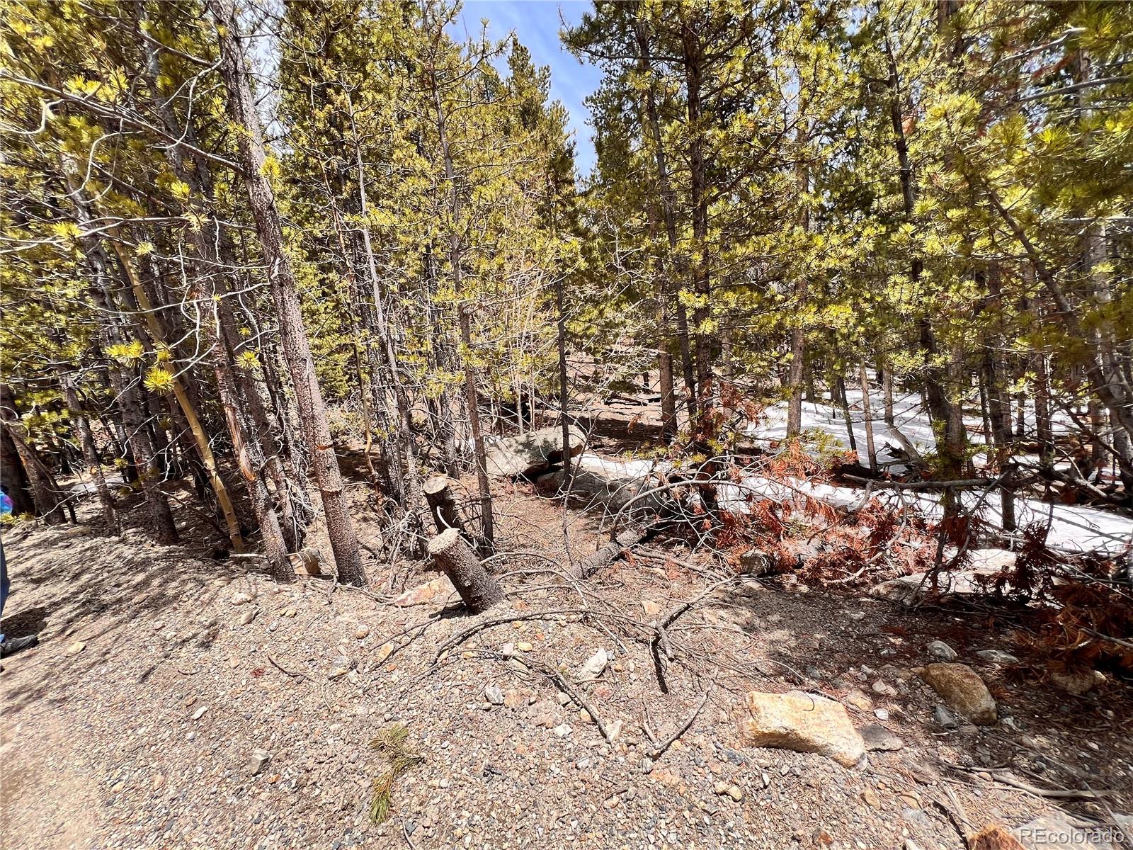 0 Loch Lomond Road Idaho Springs, CO 80452 - Photo 29 of 31