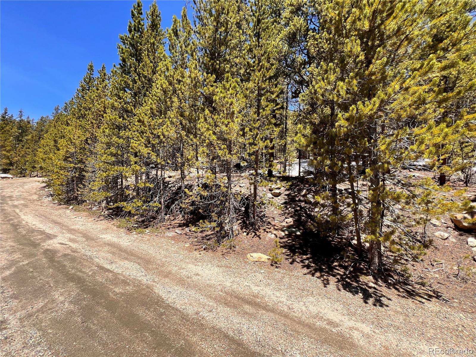 0 Loch Lomond Road Idaho Springs, CO 80452 - Photo 31 of 33 a view of a yard with wooden fence