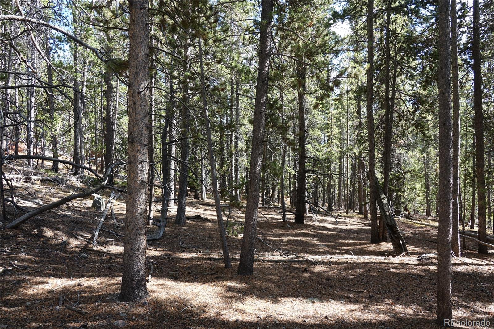 0 Loch Lomond Road Idaho Springs, CO 80452 - Photo 6 of 31