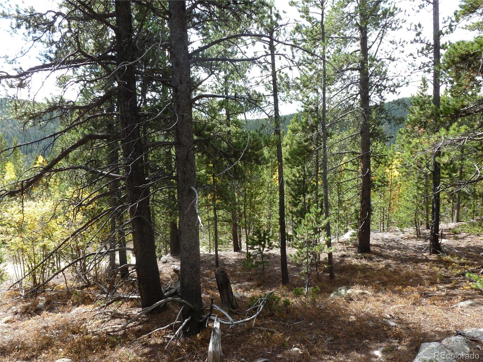 0 Loch Lomond Road Idaho Springs, CO 80452 - Photo 9 of 33 a view of outdoor space with lots of trees