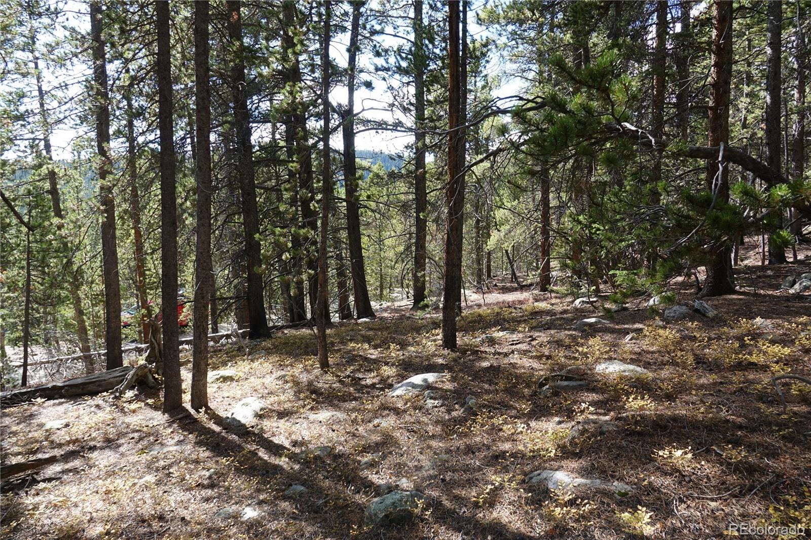 0 Loch Lomond Road Idaho Springs, CO 80452 - Photo 9 of 31