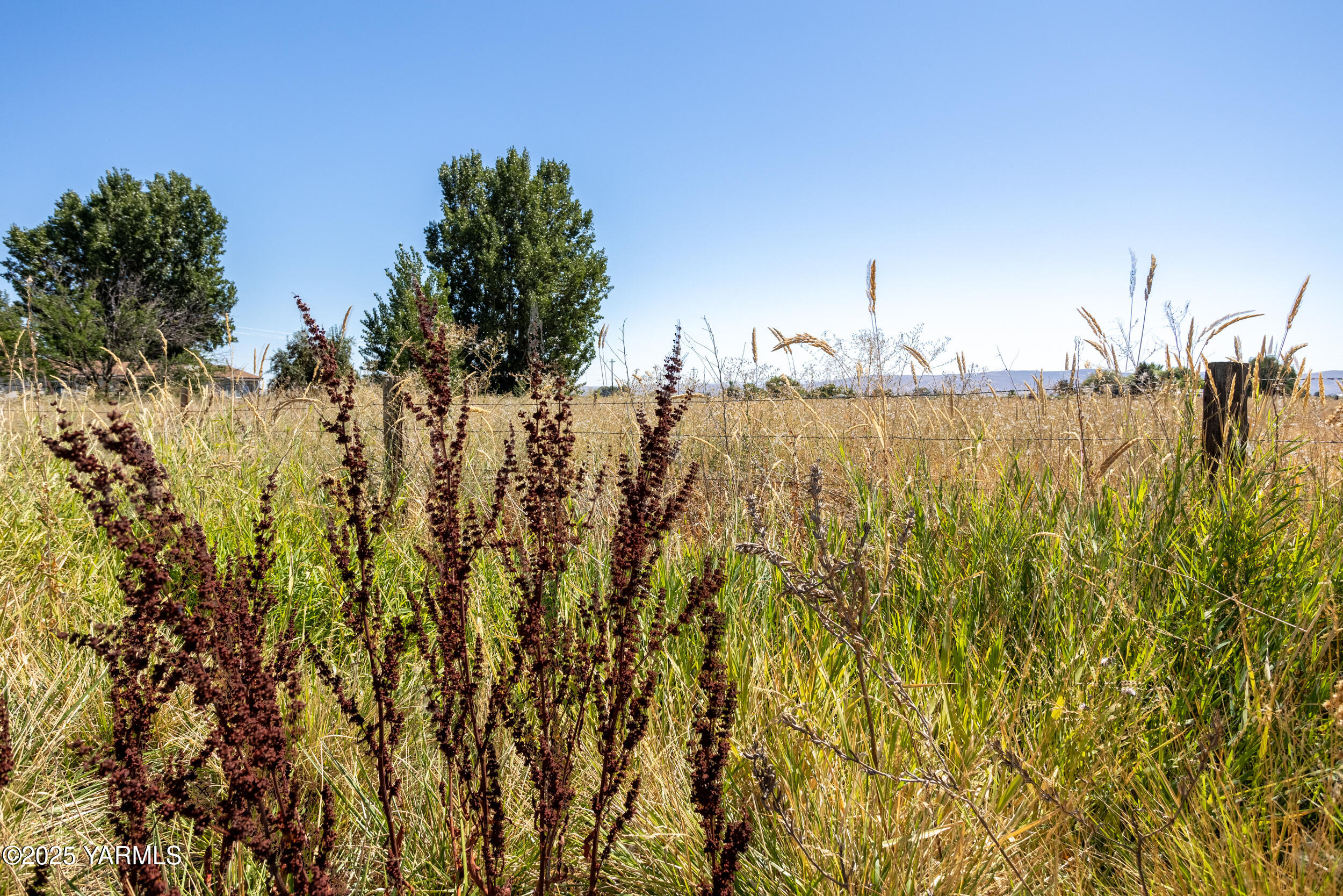Nka Nka Knights Lane/campbell Road Wapato, WA 98951 - Photo 17 of 18 NKA Knights Lane/Campbell Rd