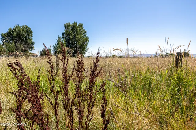 a view of ocean view