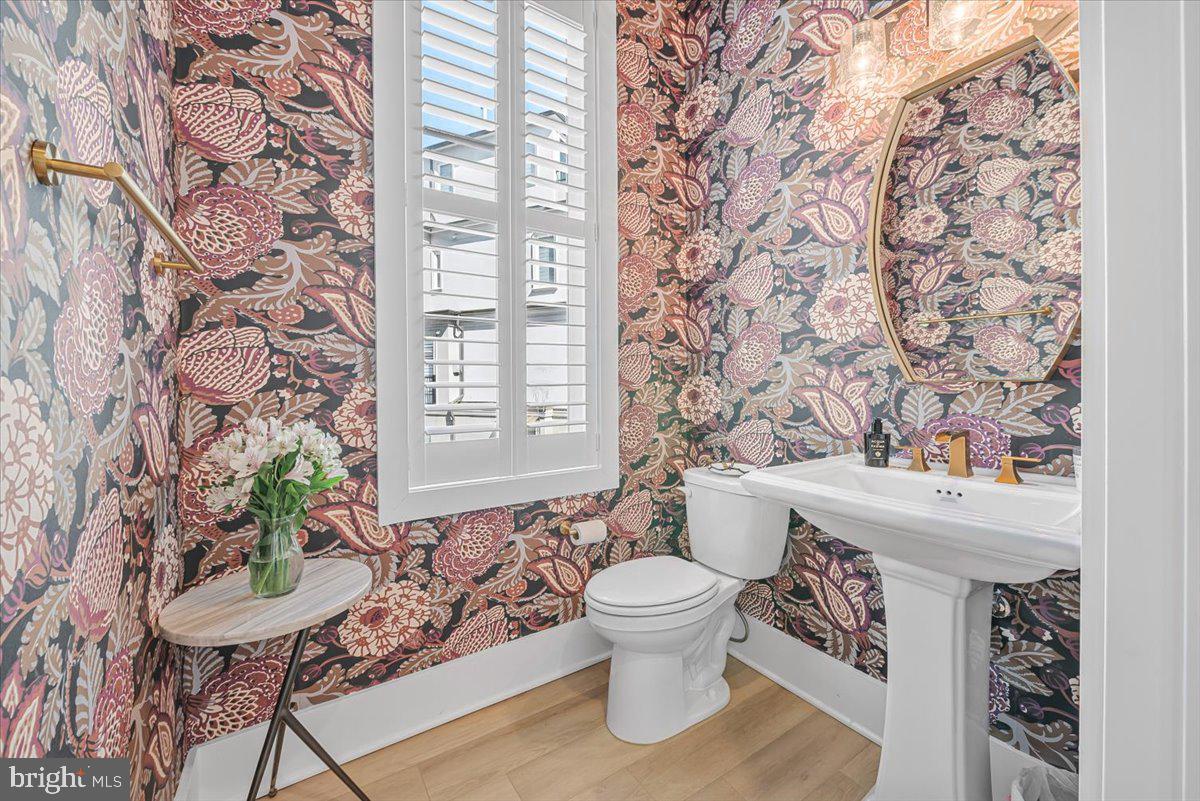 8197 River Road Bethesda, MD 20817 - Photo 21 of 53 a living room with a couch and a potted plant