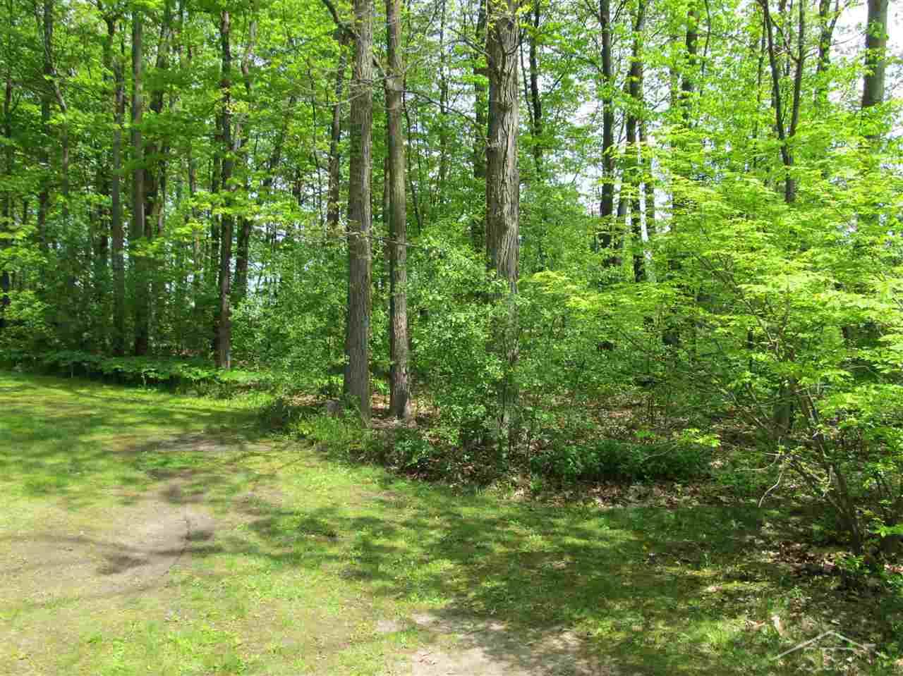 3931 Hackett Road Saginaw, MI 48603 - Photo 15 of 19 31291620-14.JPG