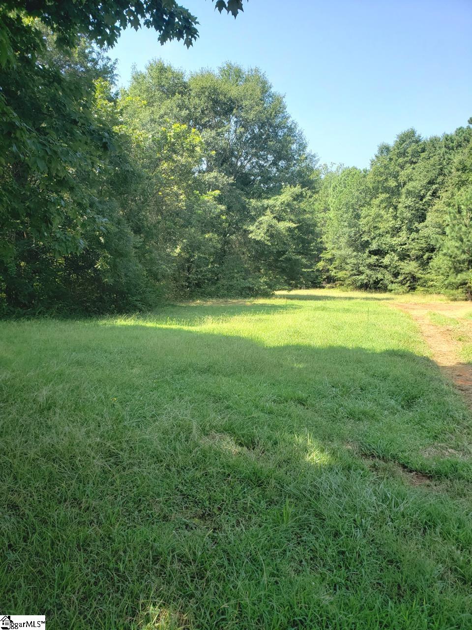 Abner Creek Road Greer, SC 29651 - Photo 3 of 4