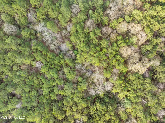 $260,000 | 0 Elks Lake Road, Hattiesburg, MS 39401