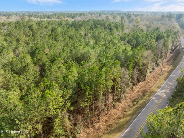 $260,000 | 0 Elks Lake Road, Hattiesburg, MS 39401
