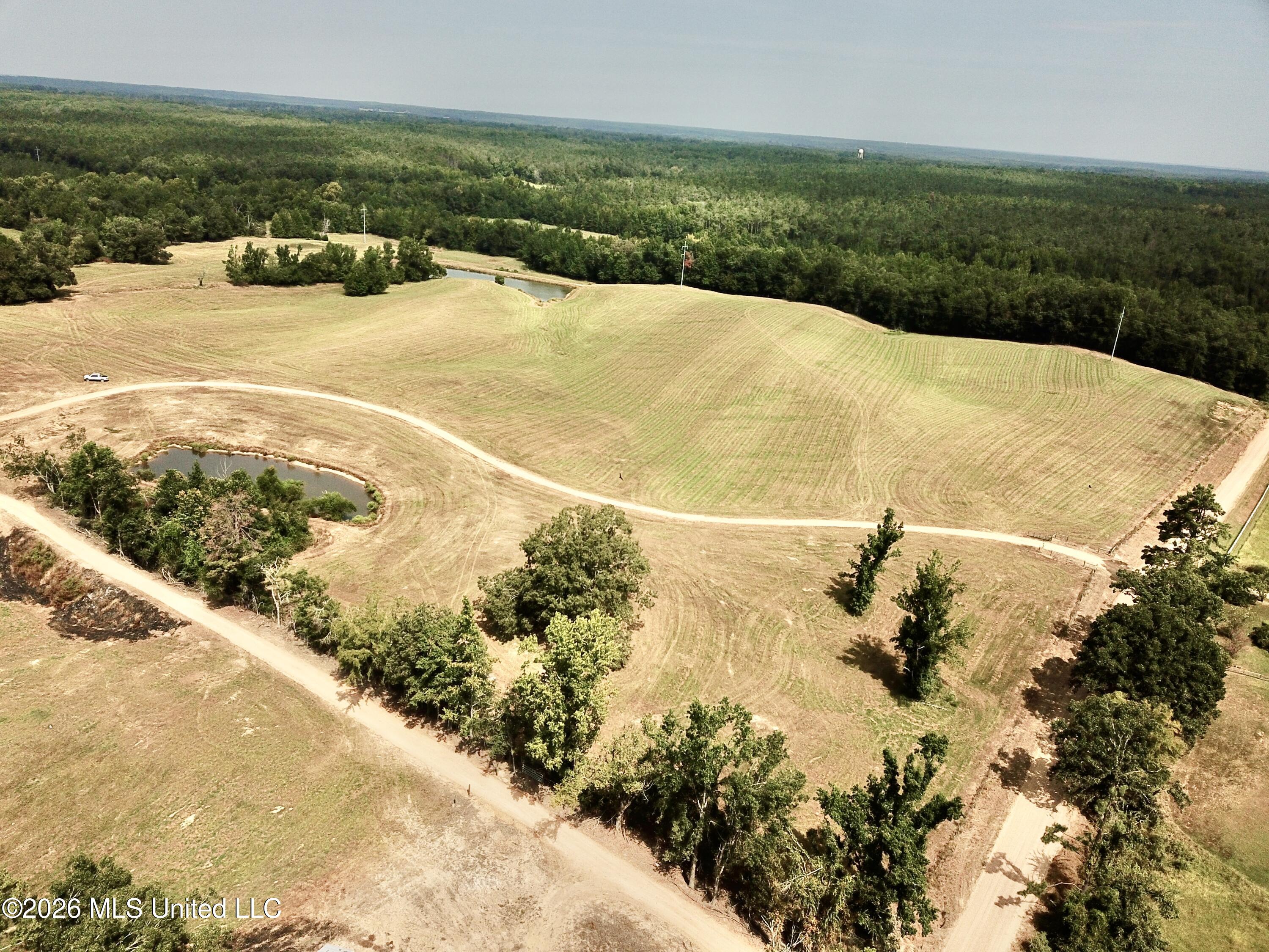 1955 Adams Road Oakland, MS 38948 - Photo 6 of 28 4B21AE1BFA161B3F92CCB5CD33802783