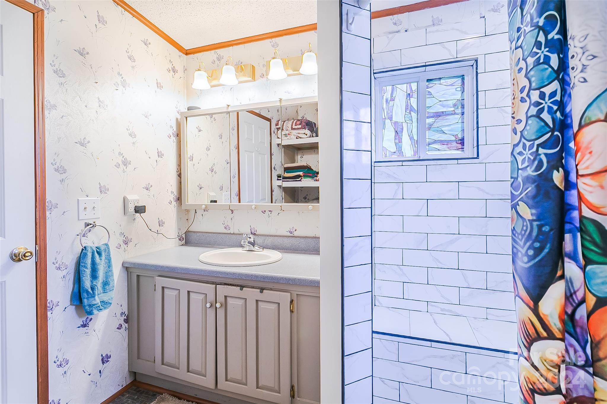 687 Newfound Road Leicester, NC 28748 - Photo 16 of 43 a bathroom with a sink and a mirror