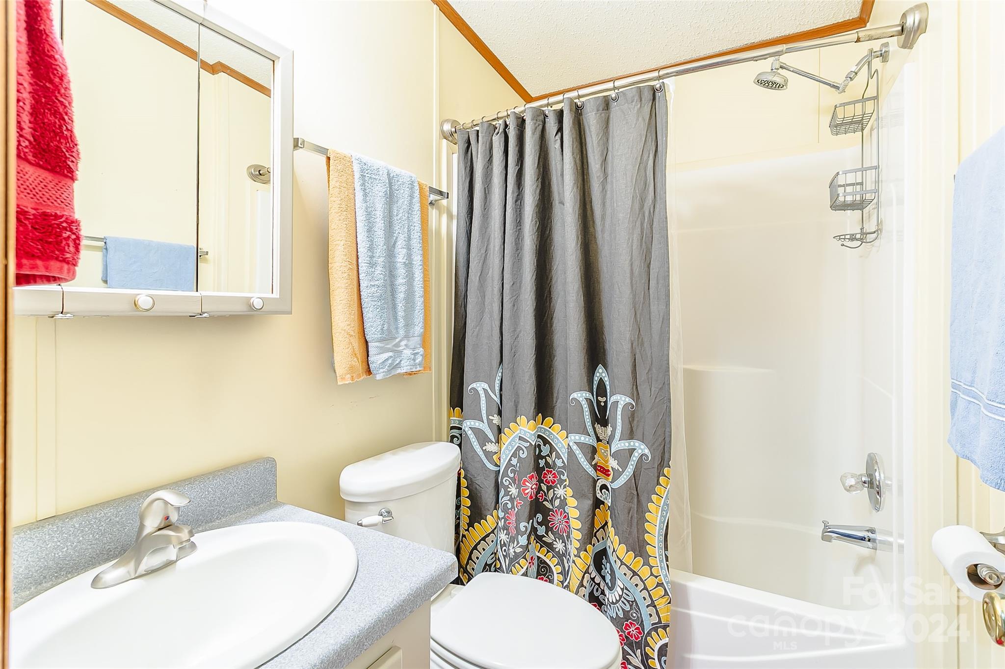 687 Newfound Road Leicester, NC 28748 - Photo 22 of 43 a bathroom with a sink toilet and shower