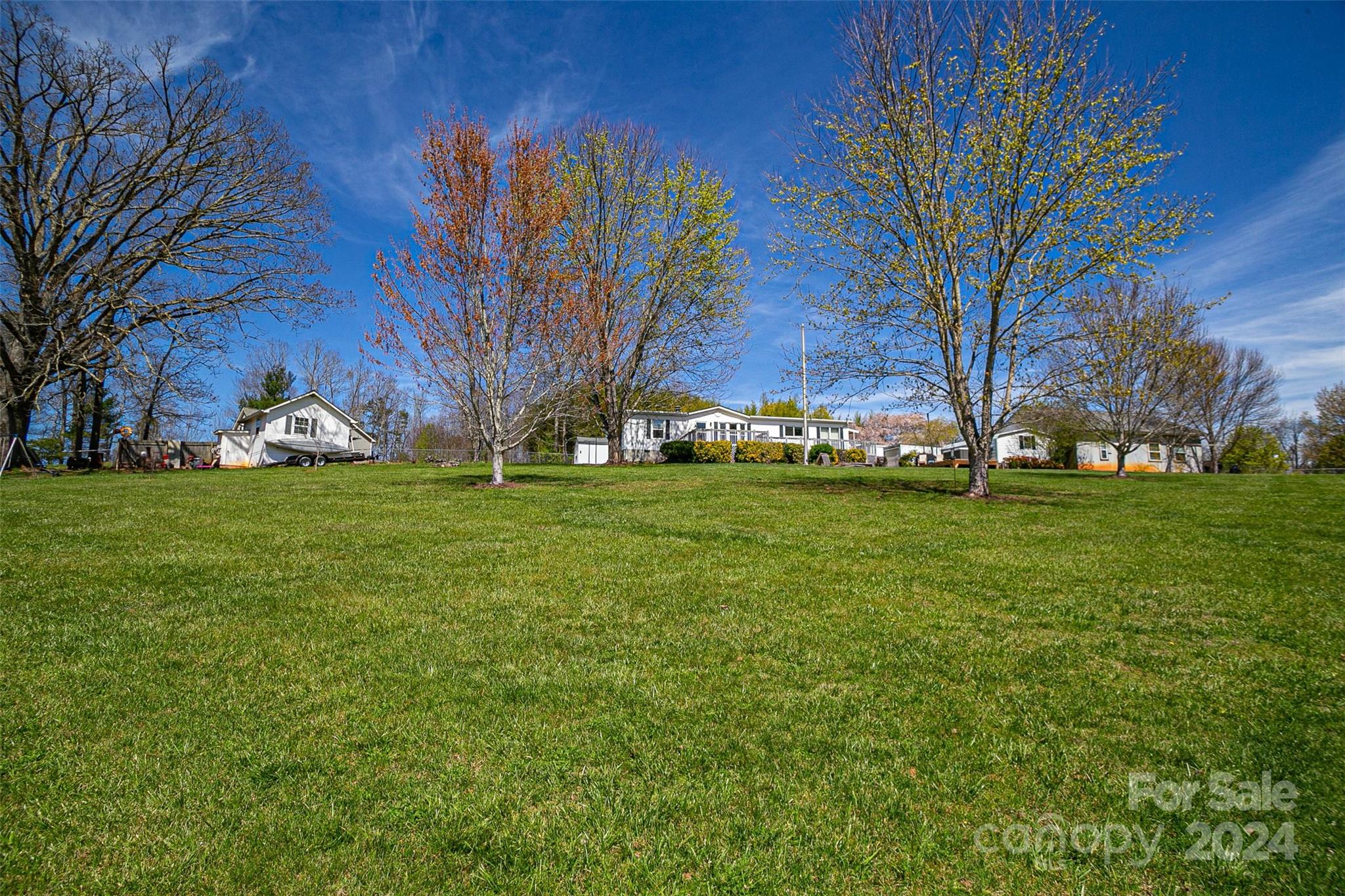 687 Newfound Road Leicester, NC 28748 - Photo 34 of 43 a view of a field with large trees