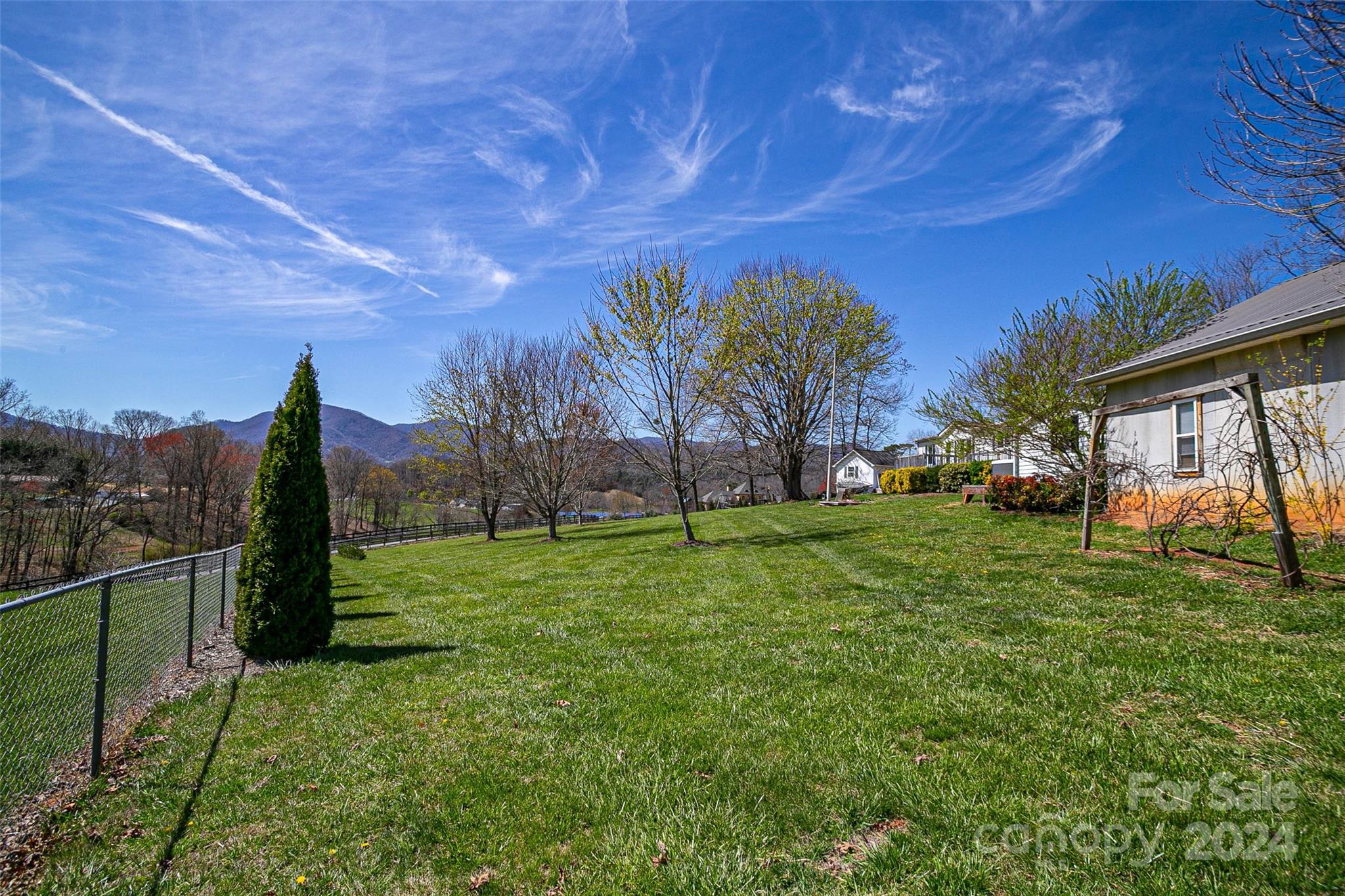 687 Newfound Road Leicester, NC 28748 - Photo 35 of 43 a view of a backyard with large tree