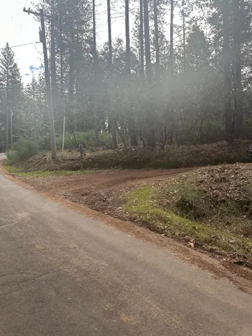 a view of a yard with a tree