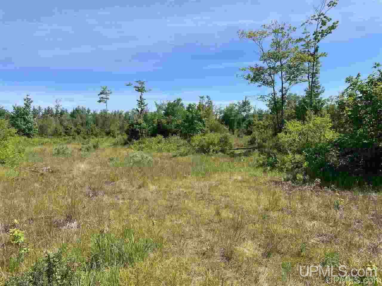 Tbd Off Cooks Lake Road, Unit 1 Wetmore, MI 49895 - Photo 3 of 19
