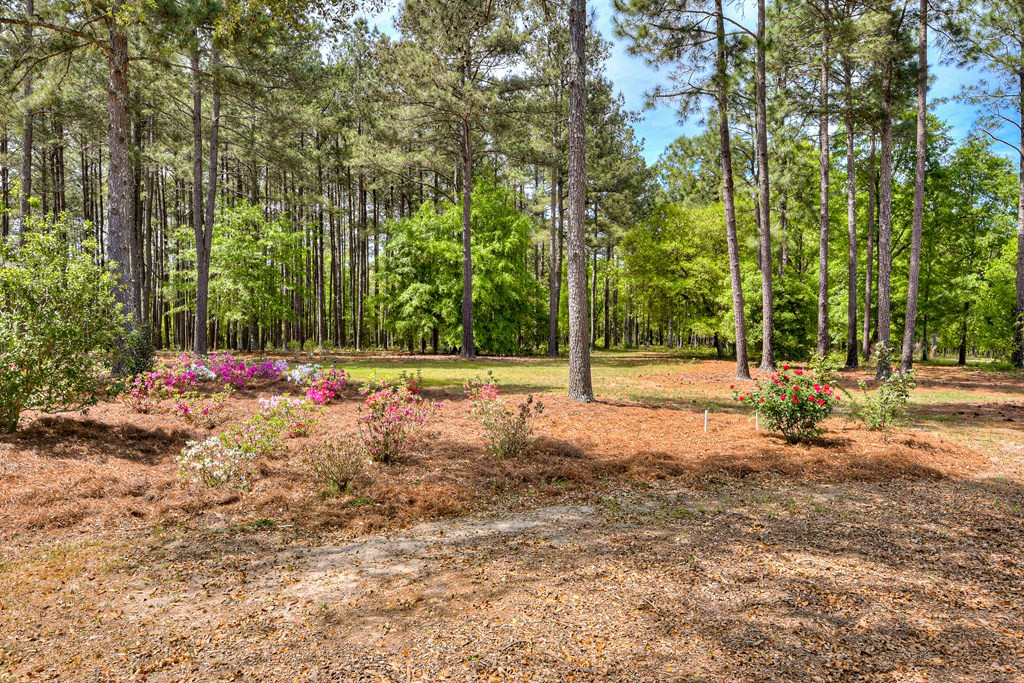 527 New Holland Road Aiken, SC 29805 - Photo 22 of 32 Gallery Image 22