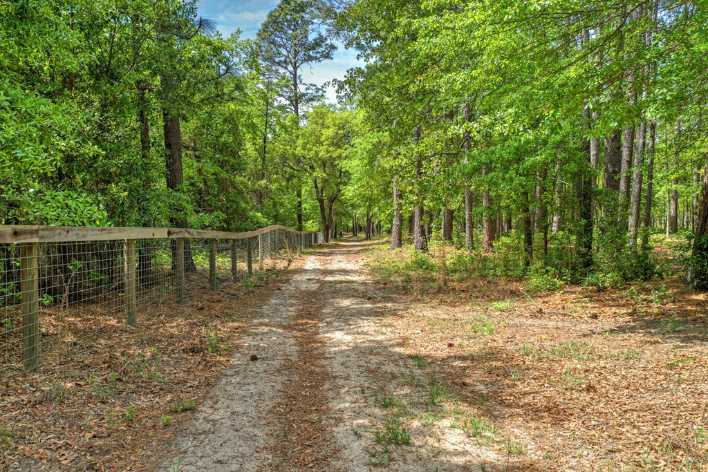 527 New Holland Road Aiken, SC 29805 - Photo 23 of 32 Gallery Image 23