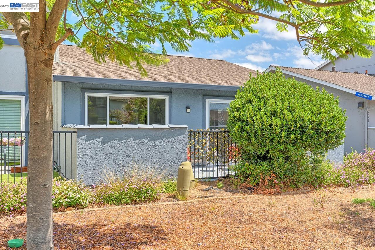 4556 Reyes Drive Union City, CA 94587 - Photo 23 of 29