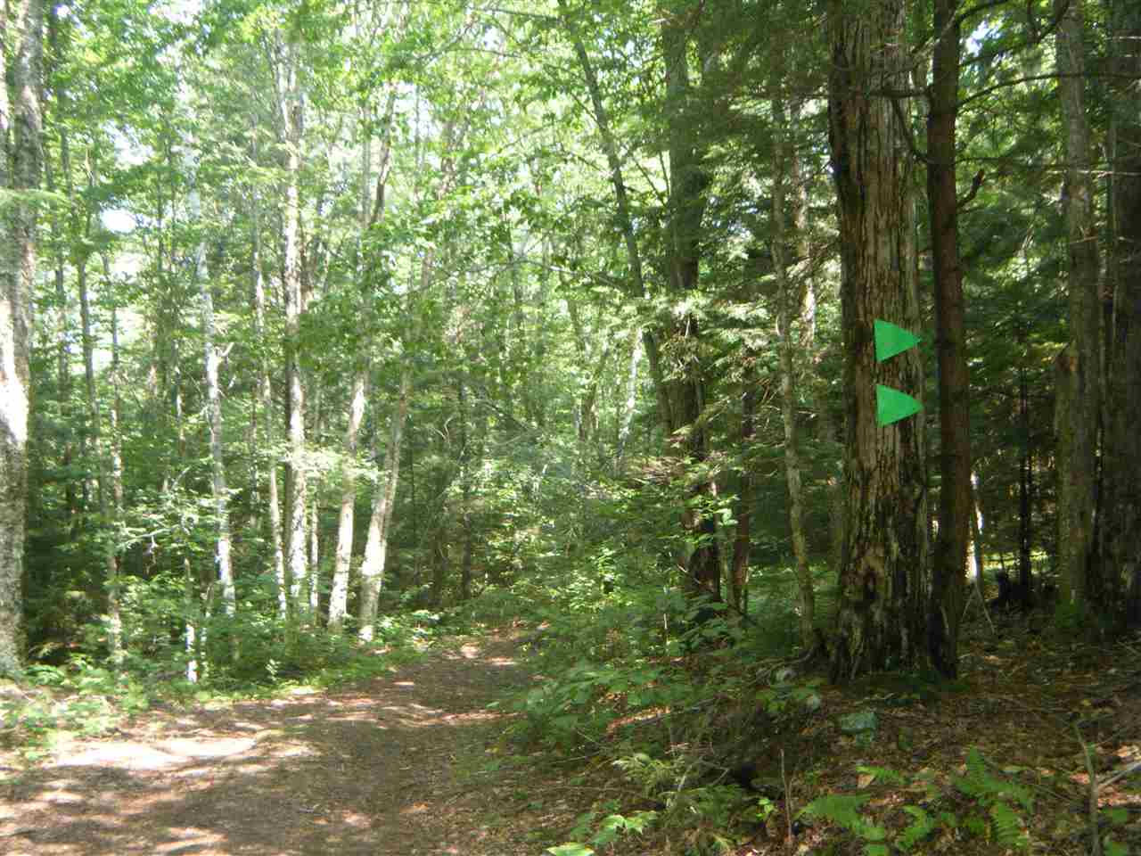 Lot 2 Aldrich Road Jacksonville, VT 05342 - Photo 12 of 13
