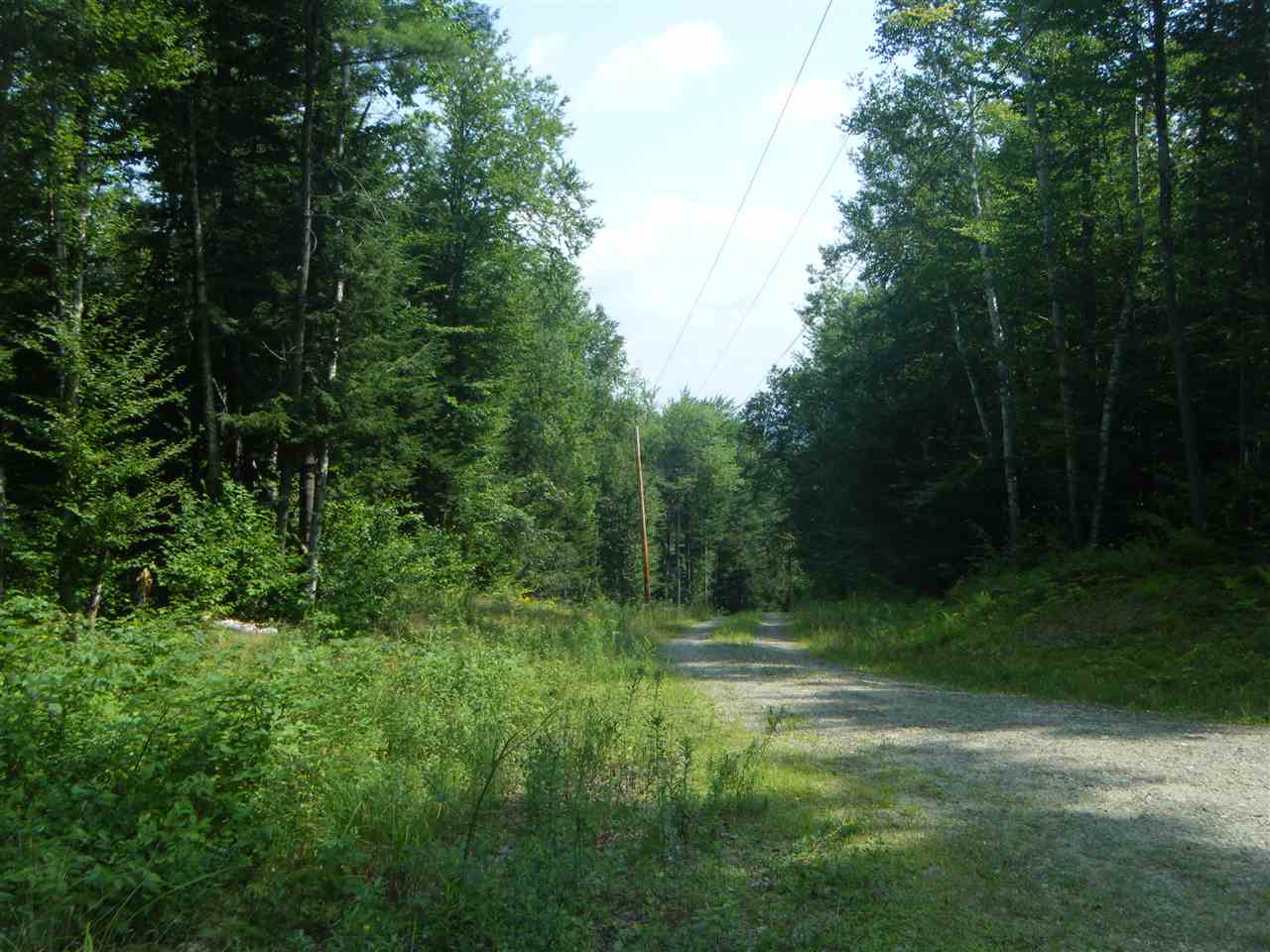 Lot 2 Aldrich Road Jacksonville, VT 05342 - Photo 3 of 13