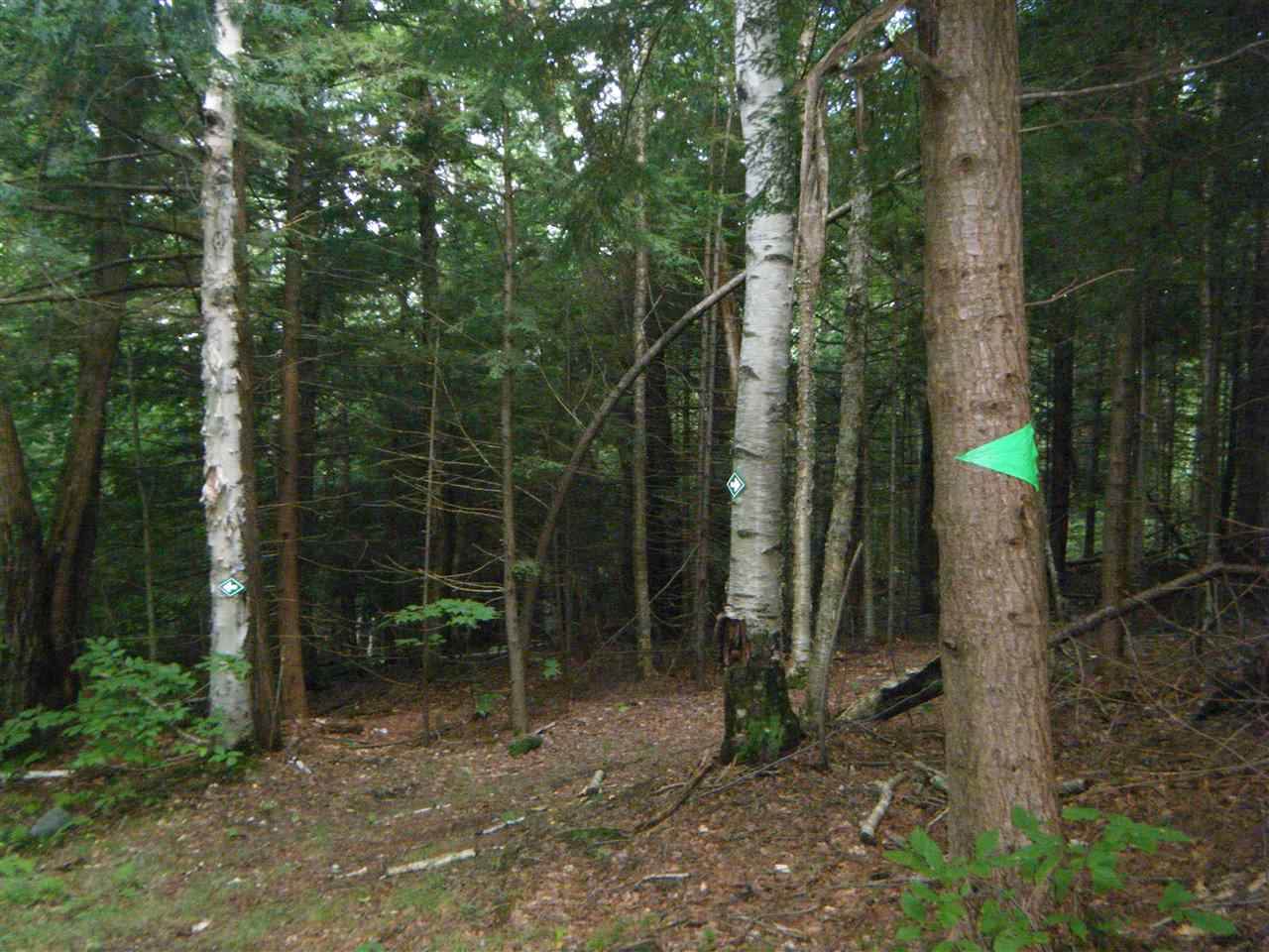 Lot 2 Aldrich Road Jacksonville, VT 05342 - Photo 5 of 13