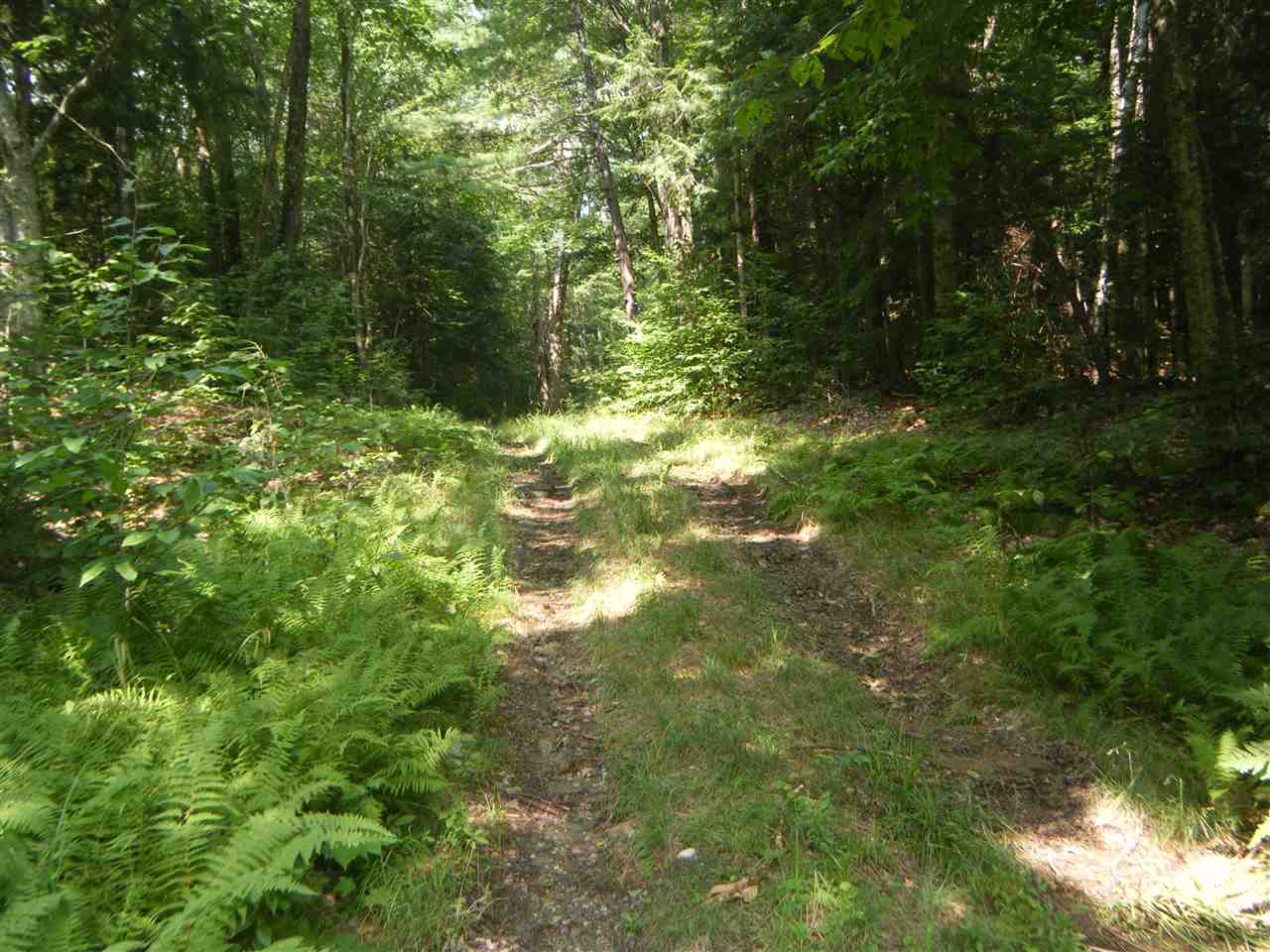 Lot 2 Aldrich Road Jacksonville, VT 05342 - Photo 6 of 13