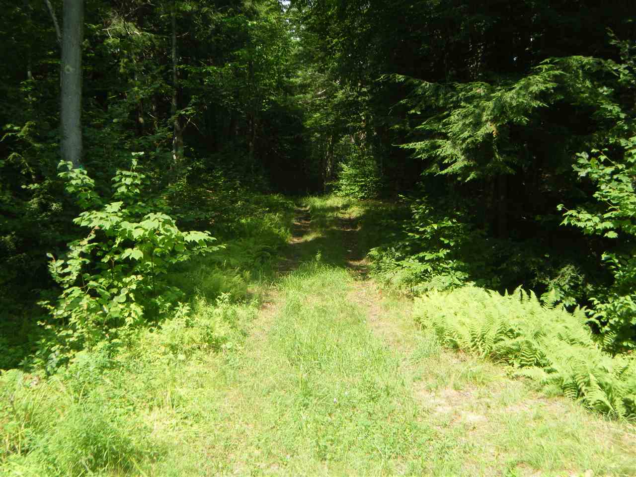 Lot 2 Aldrich Road Jacksonville, VT 05342 - Photo 7 of 13