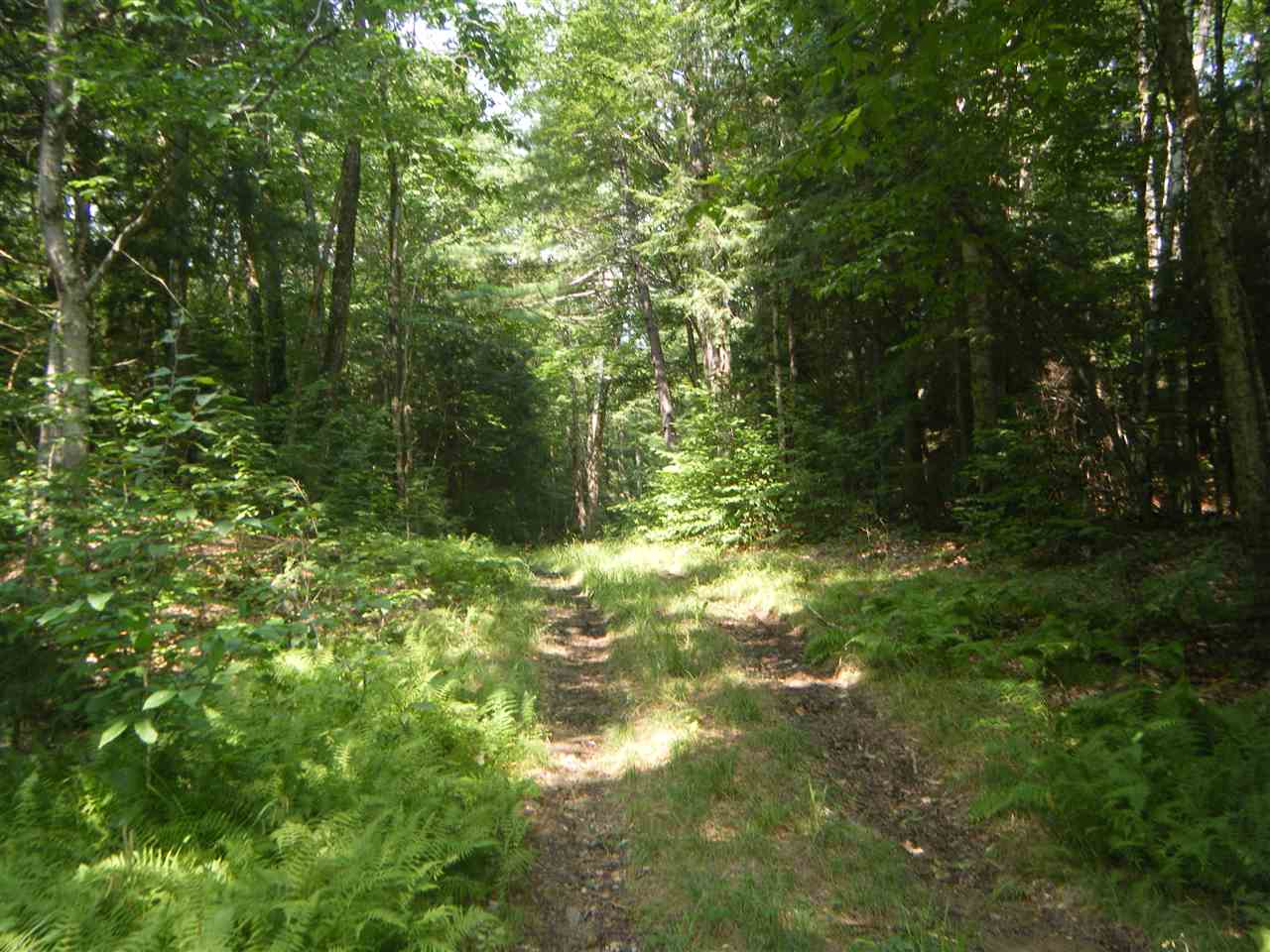 Lot 2 Aldrich Road Jacksonville, VT 05342 - Photo 8 of 13
