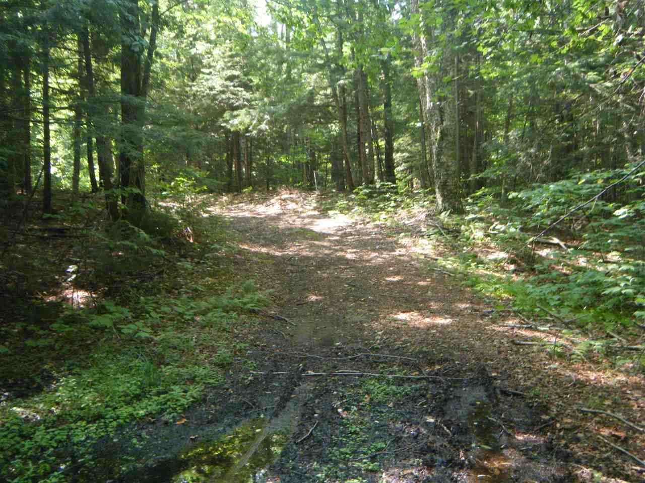 Lot 2 Aldrich Road Jacksonville, VT 05342 - Photo 9 of 13