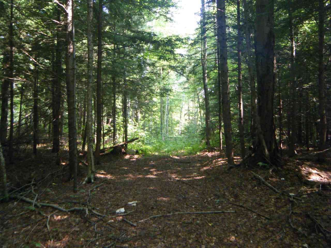 Lot 2 Aldrich Road Jacksonville, VT 05342 - Photo 10 of 13