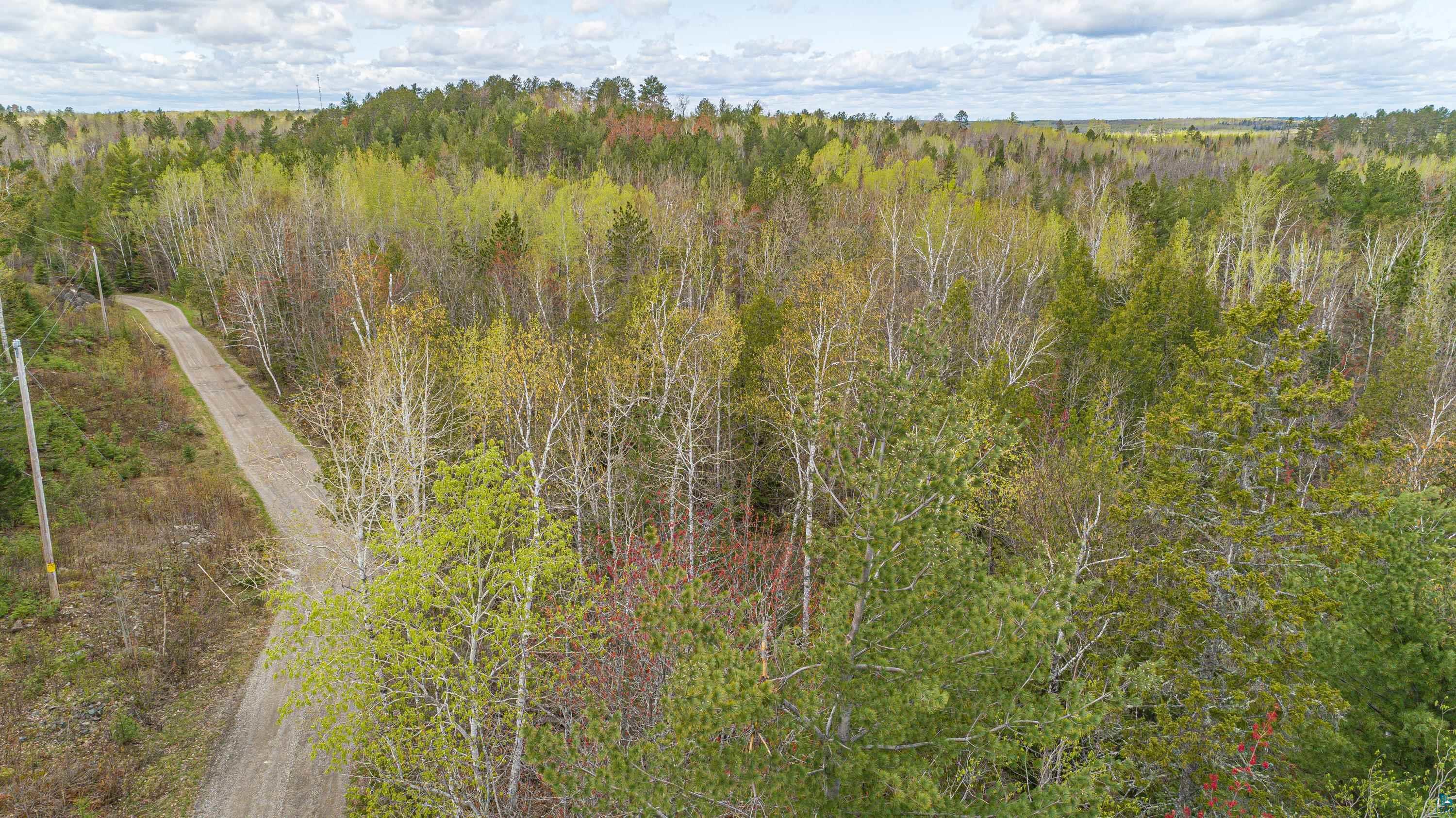 Six Mile Road Ely, MN 55731 - Photo 12 of 32