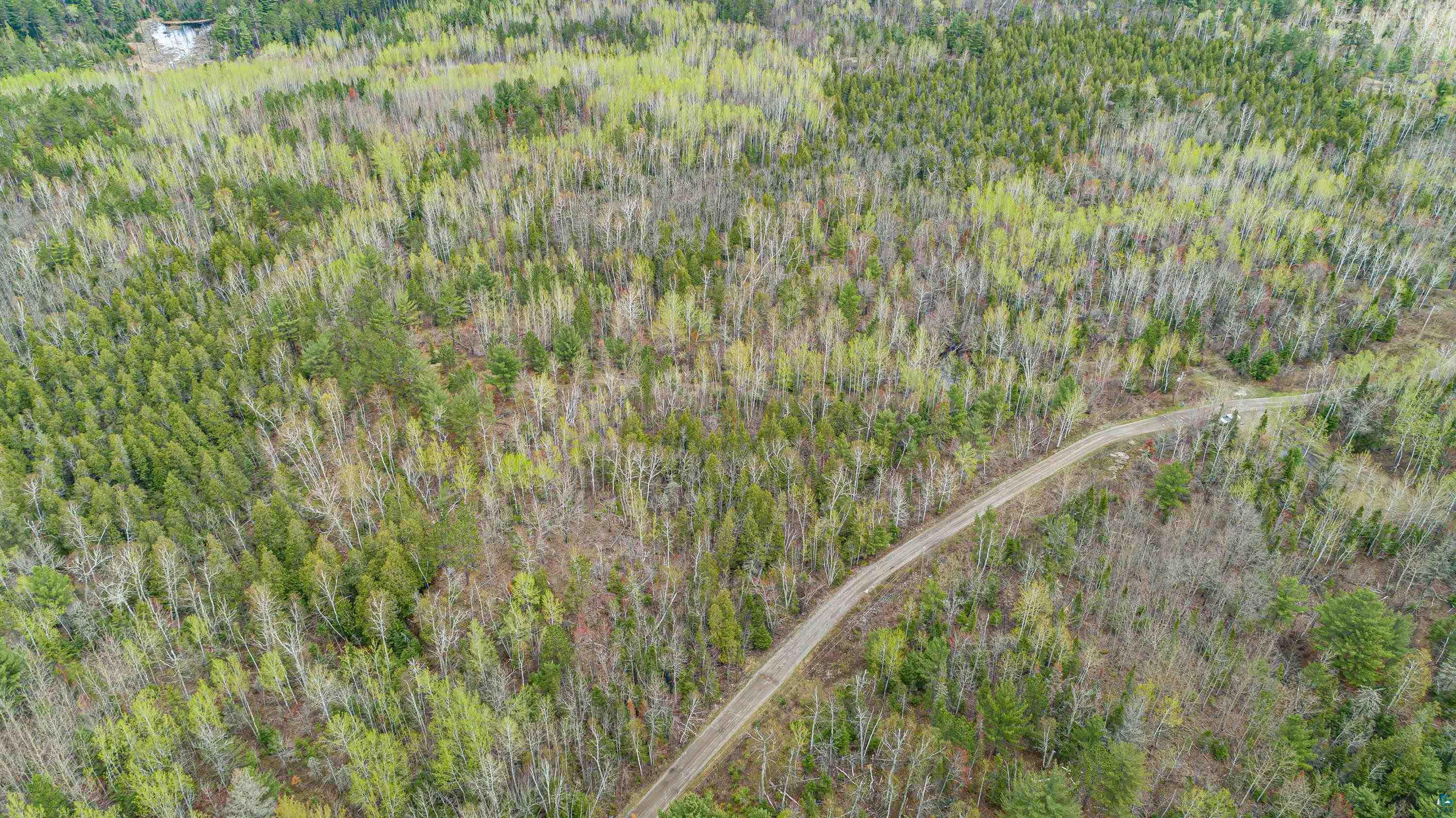 Six Mile Road Ely, MN 55731 - Photo 22 of 32