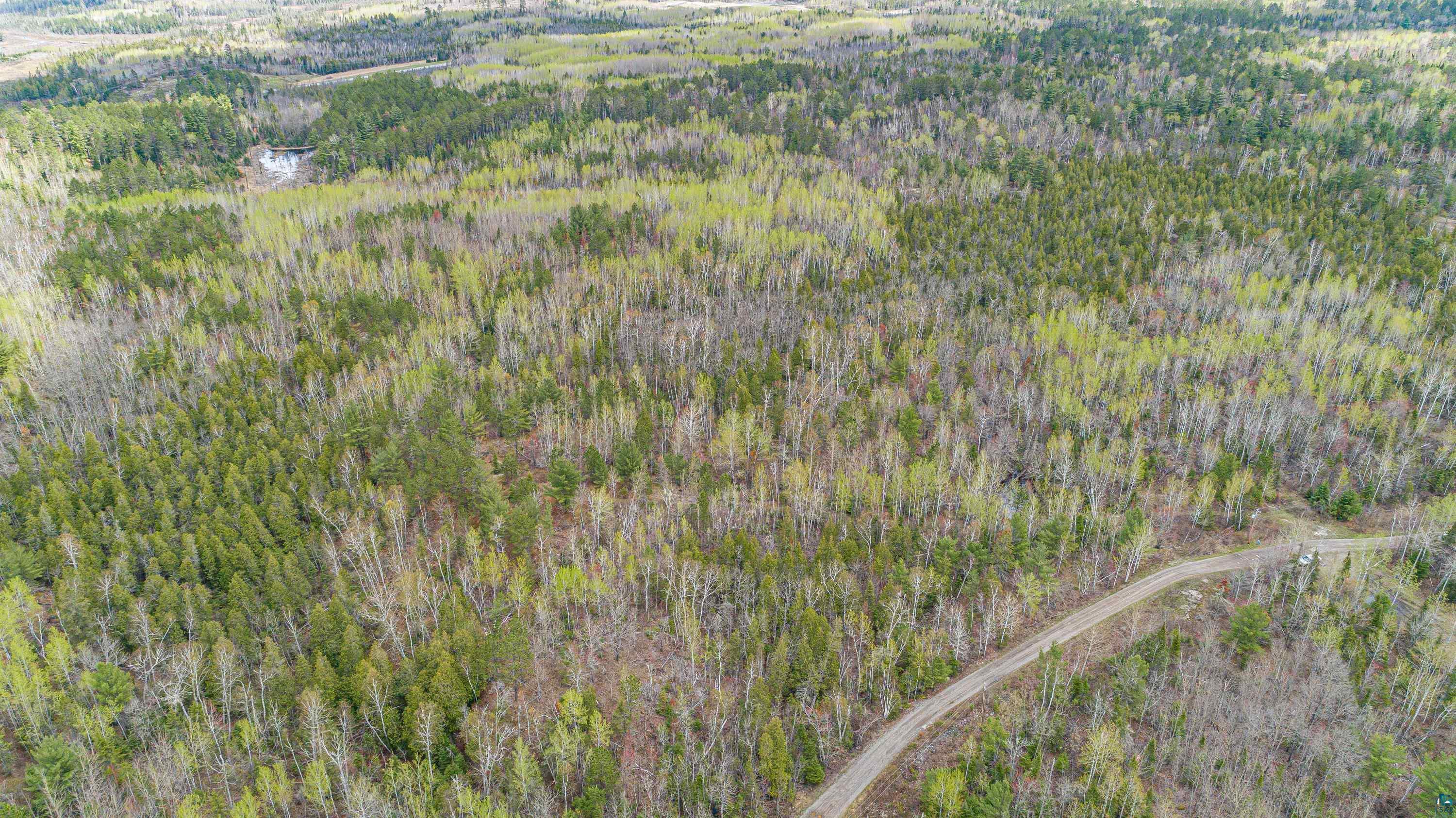 Six Mile Road Ely, MN 55731 - Photo 23 of 32