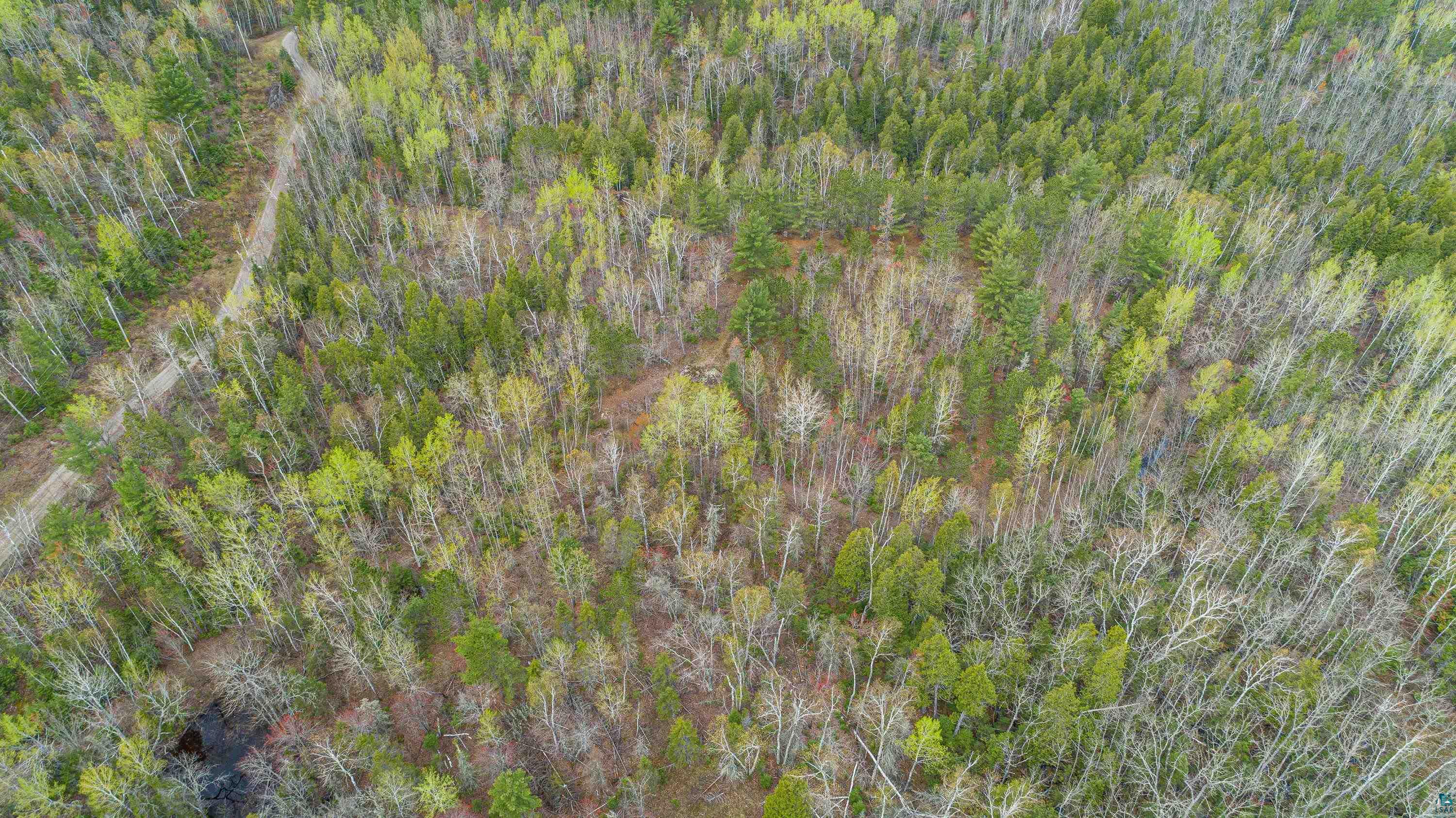 Six Mile Road Ely, MN 55731 - Photo 31 of 32