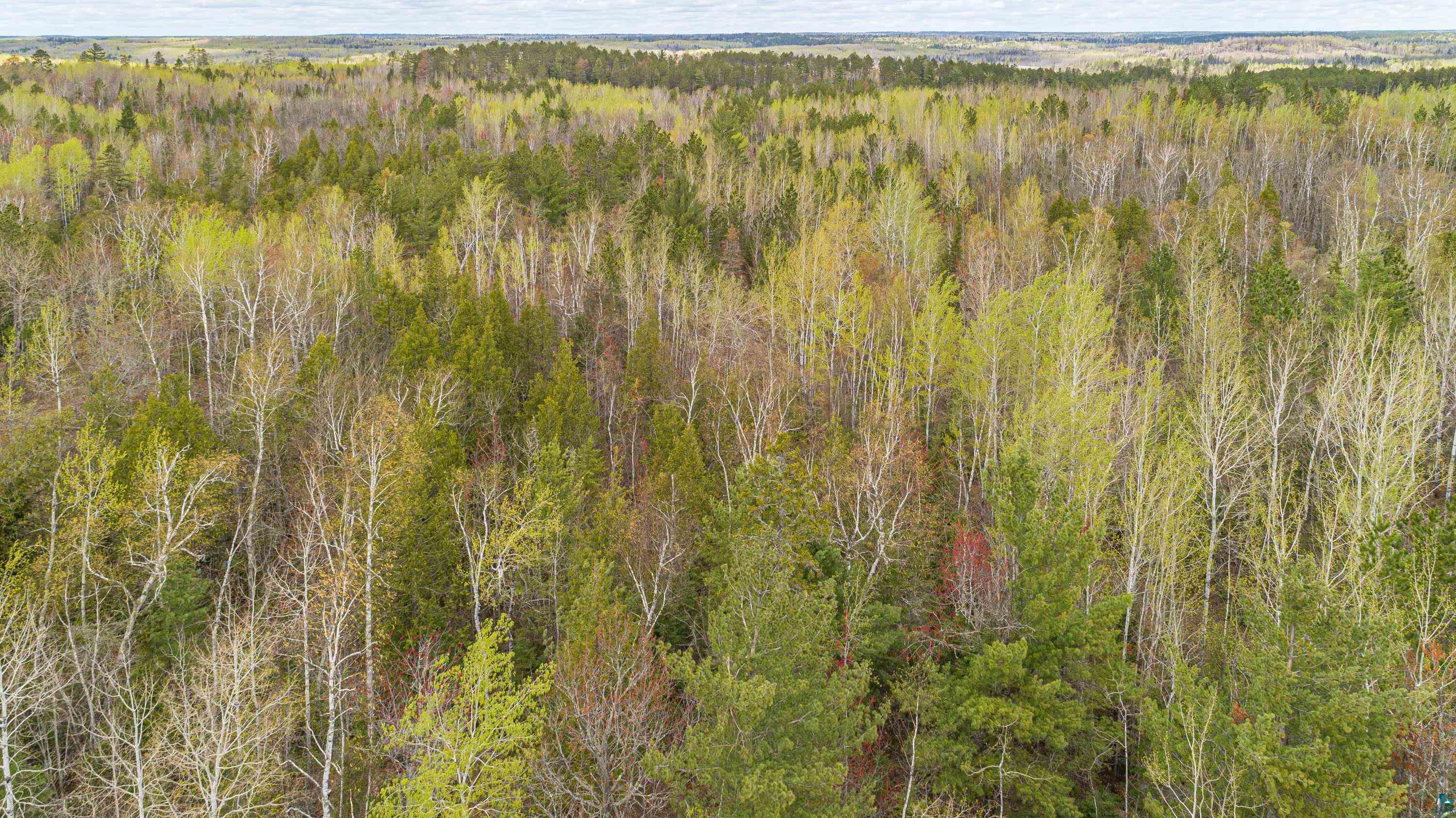 Six Mile Road Ely, MN 55731 - Photo 32 of 32