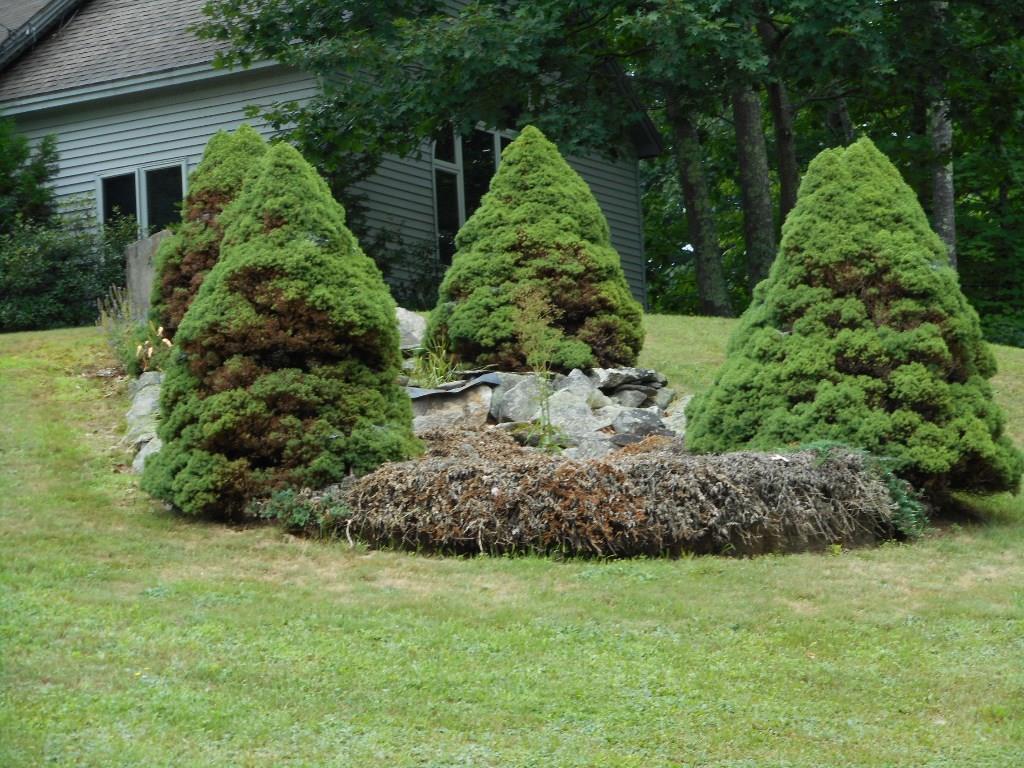 148 Togus Road Augusta, ME 04330 - Photo 6 of 31 Photo