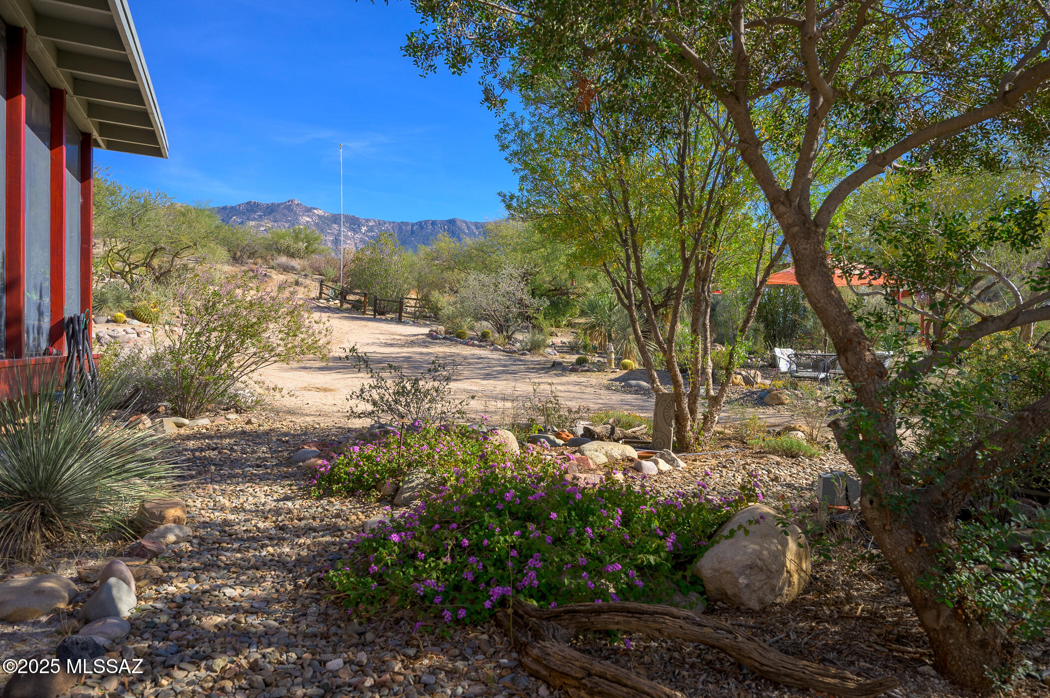 4596 East Trotter Road Tucson, AZ 85739 - Photo 41 of 44