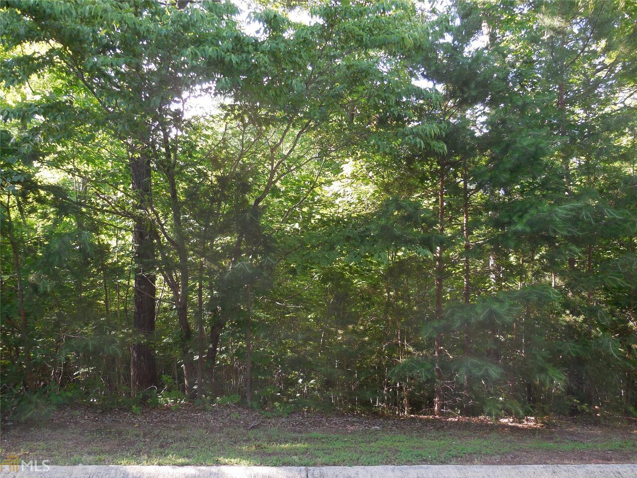 0 Crabapple Road, Unit LOT 11 Clarkesville, GA 30523 - Photo 1 of 1 Gallery Image 1
